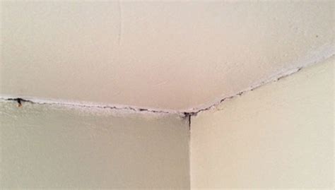 hermes gesso|does gesso cause cracks.